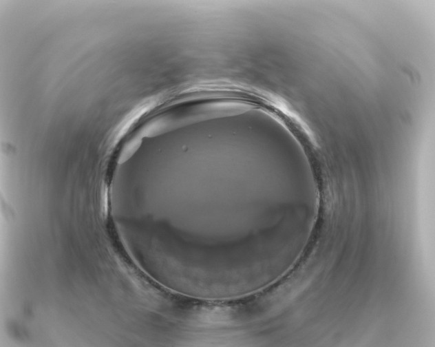 X0000091351221200708101523