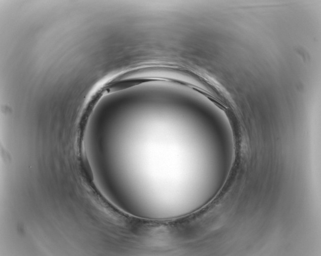 X0000091351222200708101523