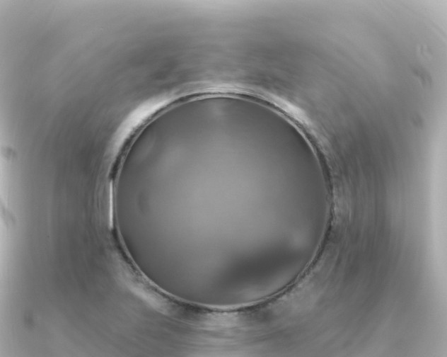 X0000091351223200708101523