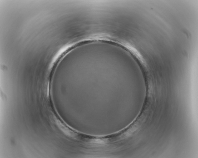 X0000091351224200708101523