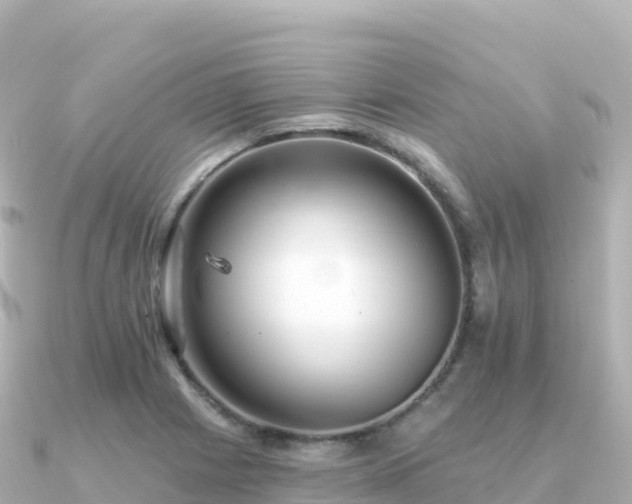 X0000091351225200708101523