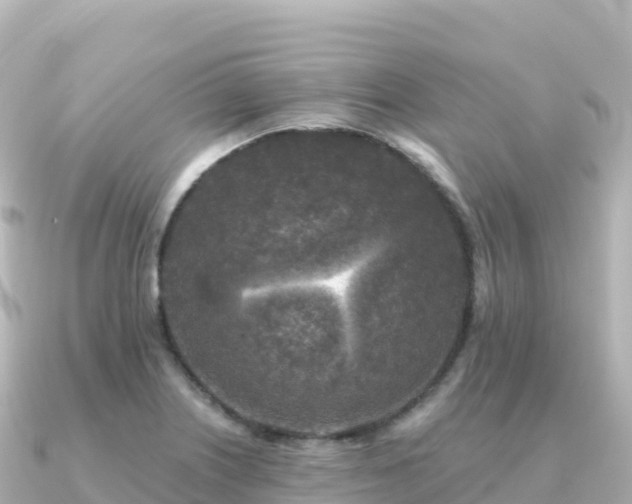 X0000091351226200708101523