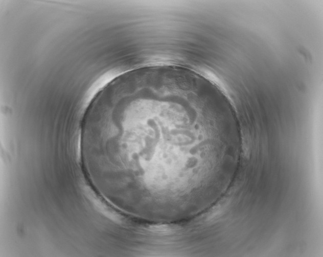 X0000091351227200708101523