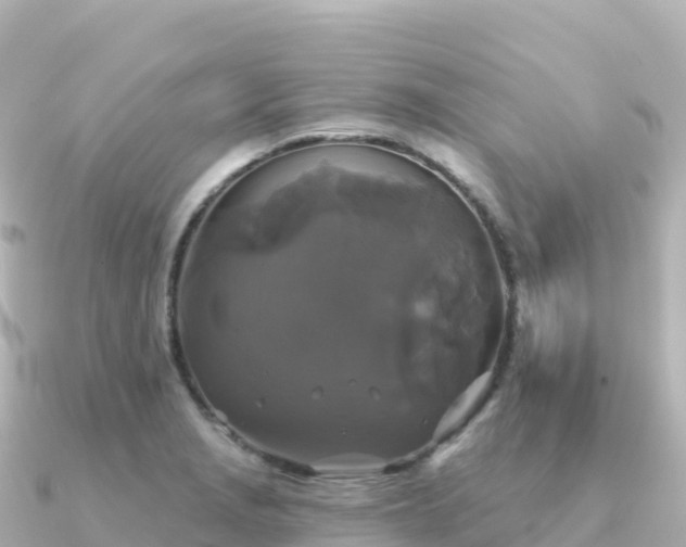 X0000091351229200708101523