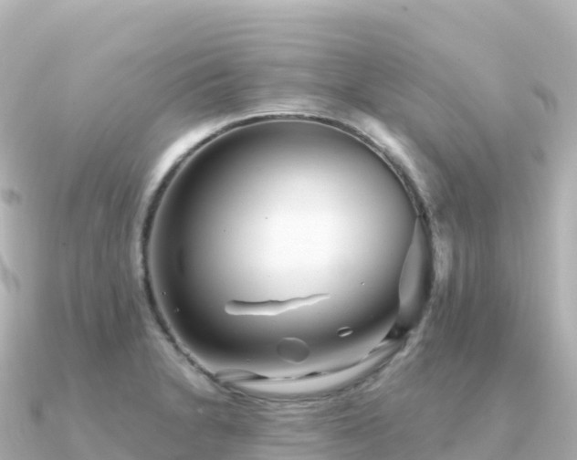 X0000091351230200708101523