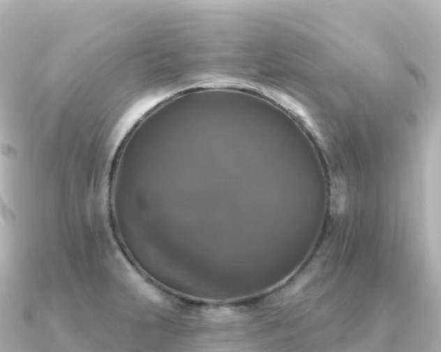 X0000091351231200708101523