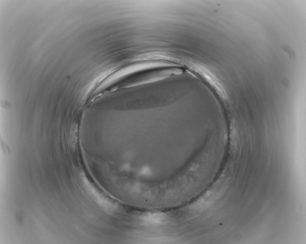 X0000091351233200708101523