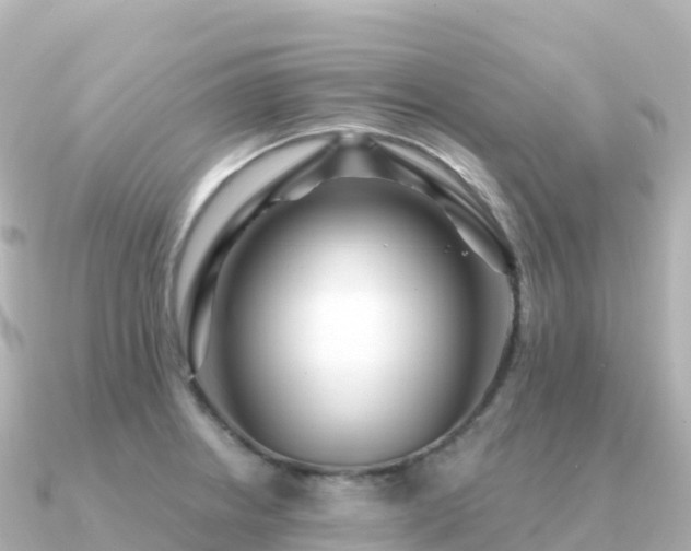 X0000091351234200708101523