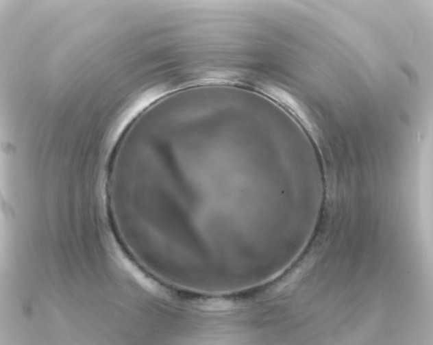 X0000091351235200708101524