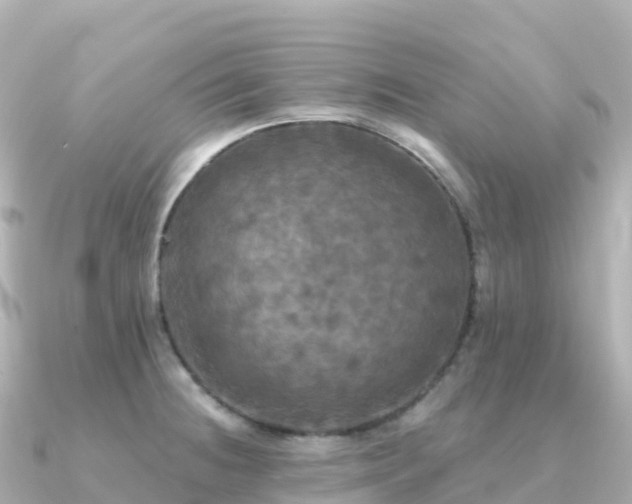 X0000091351236200708101524