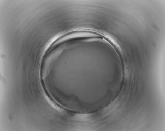 X0000091351237200708101524