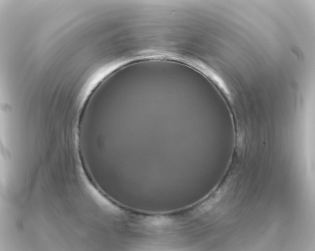 X0000091351239200708101524