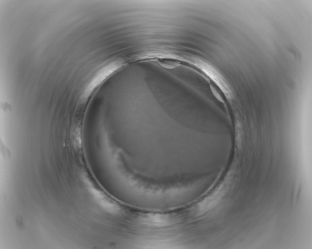 X0000091351241200708101524