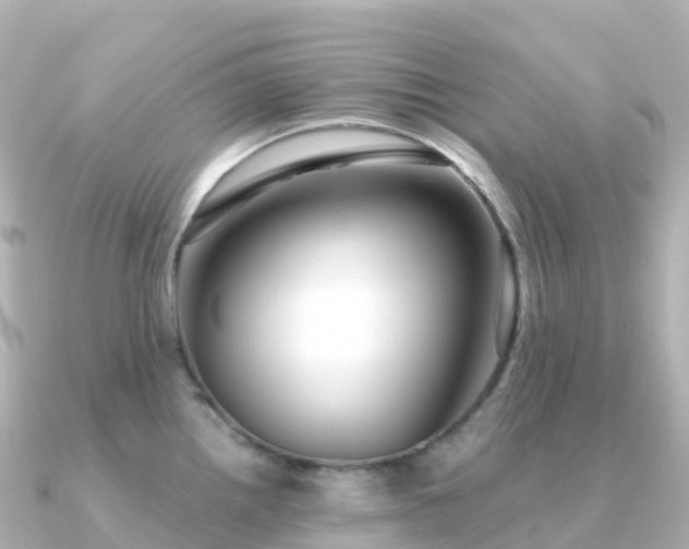 X0000091351242200708101524