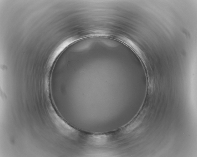 X0000091351243200708101524