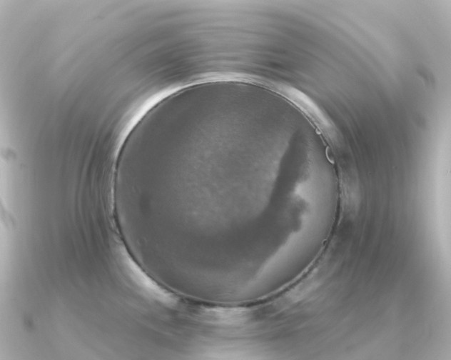 X0000091351244200708101524