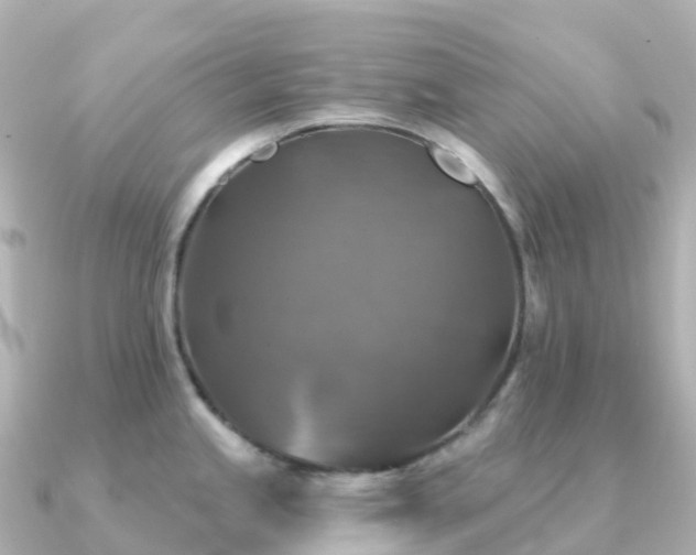 X0000091351245200708101524