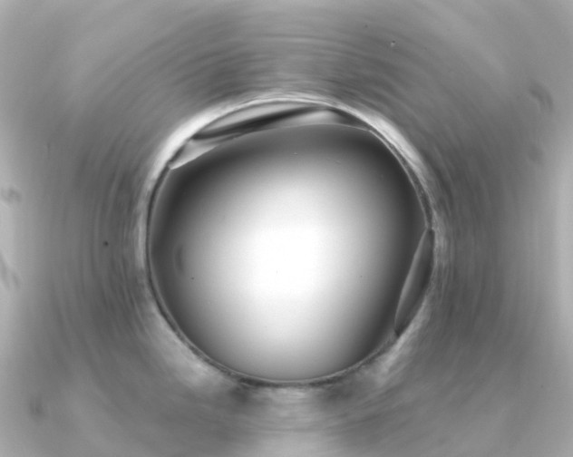 X0000091351246200708101524