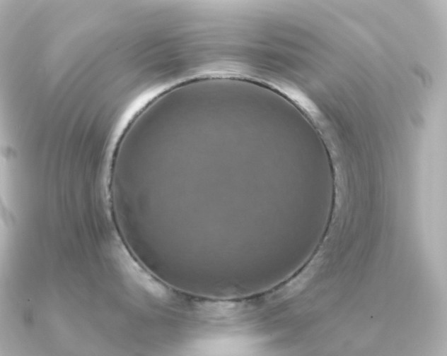 X0000091351248200708101524