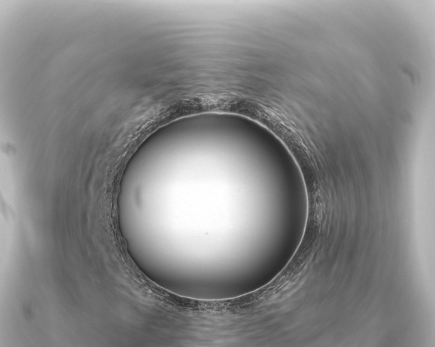 X0000091351249200708101523