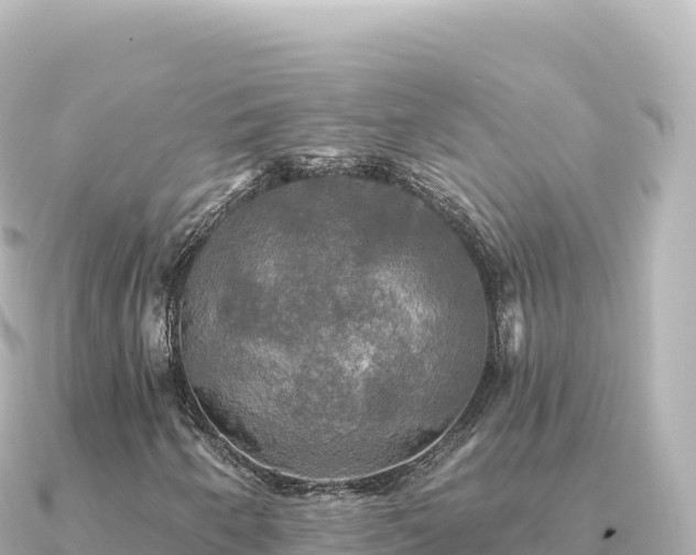 X0000091351250200708101523