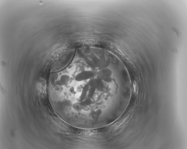 X0000091351251200708101523