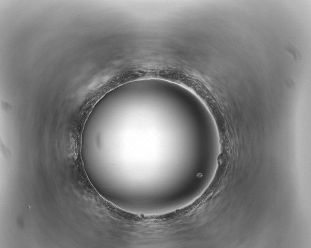 X0000091351253200708101523