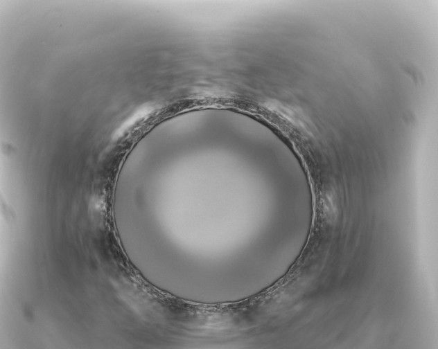 X0000091351254200708101523