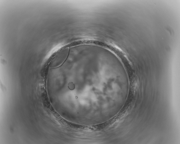 X0000091351255200708101523