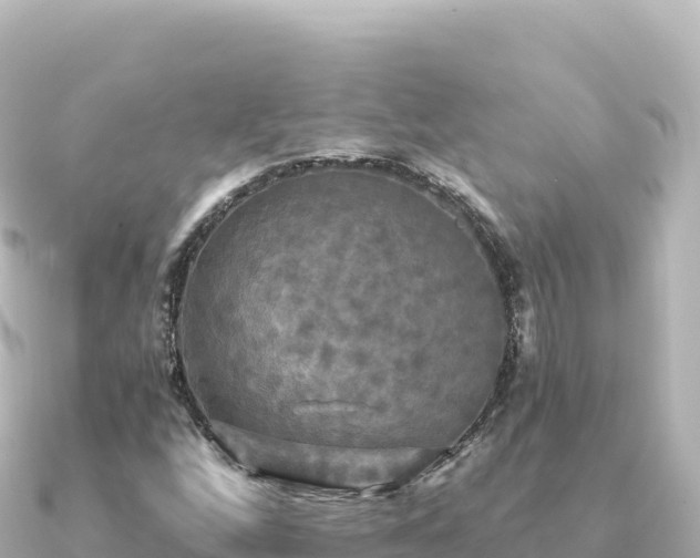 X0000091351256200708101523