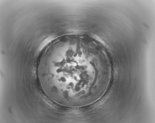 X0000091351259200708101523