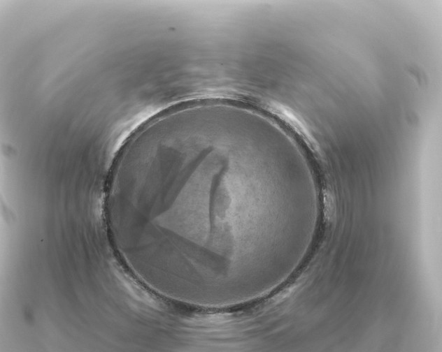 X0000091351260200708101523