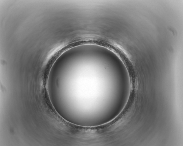 X0000091351261200708101523