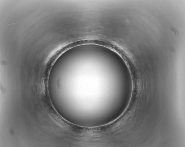 X0000091351262200708101523