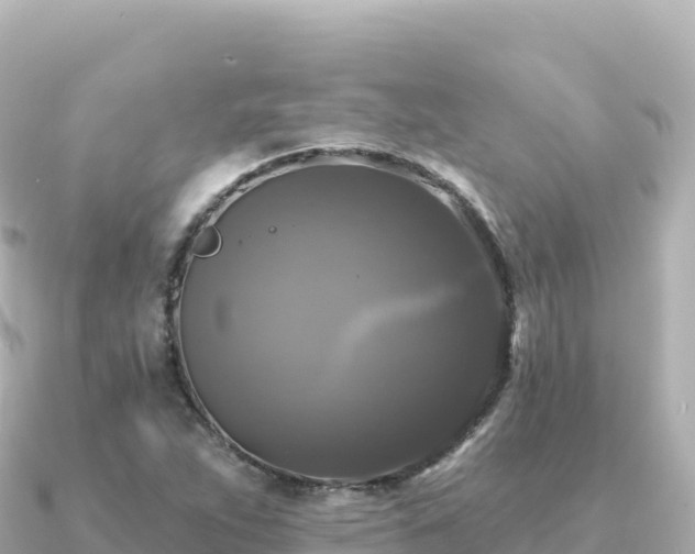 X0000091351263200708101523