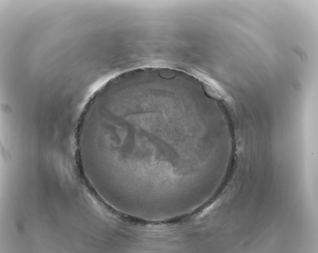 X0000091351264200708101523