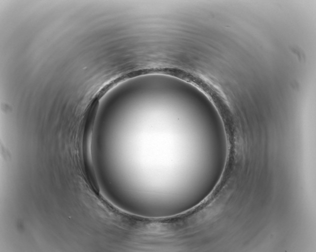 X0000091351265200708101523