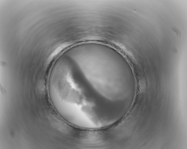 X0000091351266200708101523