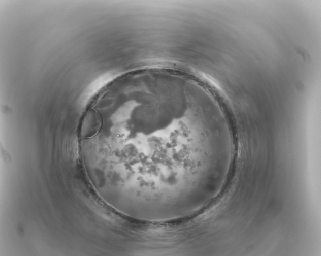 X0000091351267200708101523