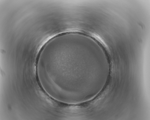 X0000091351268200708101523