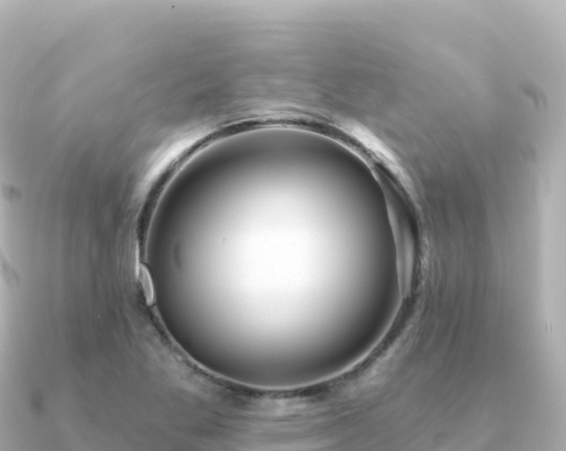 X0000091351269200708101523