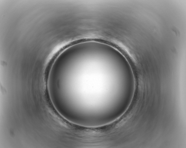 X0000091351270200708101523