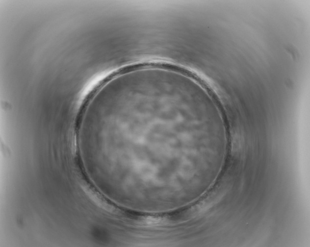 X0000091351271200708101523