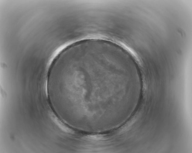 X0000091351272200708101523