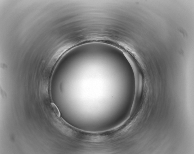 X0000091351273200708101523