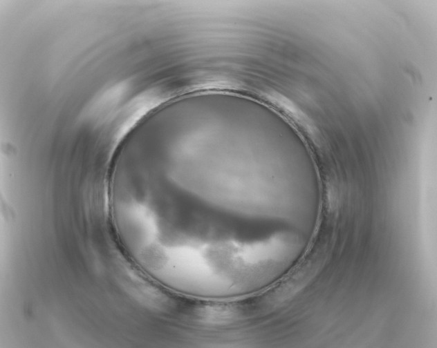 X0000091351274200708101523