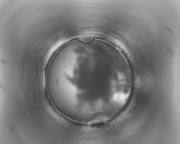 X0000091351275200708101523