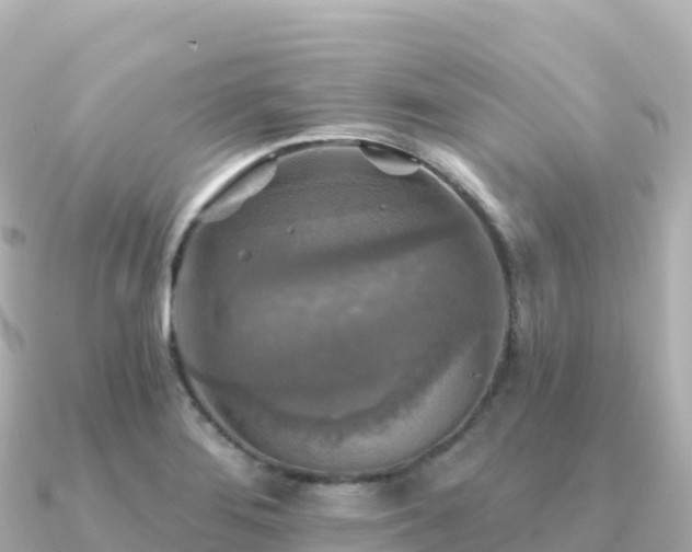 X0000091351276200708101523