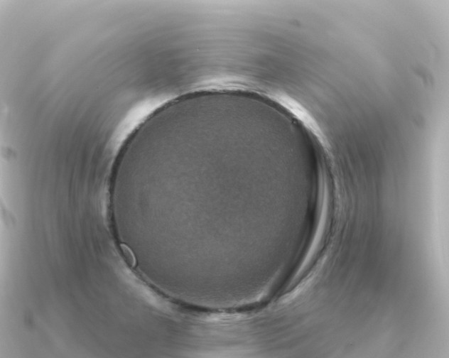 X0000091351277200708101523