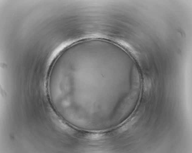 X0000091351278200708101523